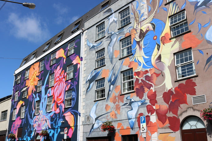 Waterford Walls Mural Colourtrend Paints