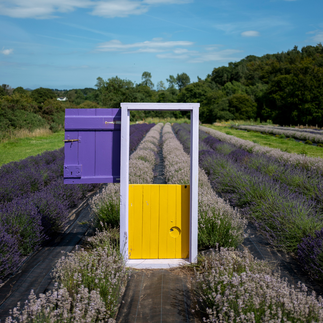 Hidden Ireland: Secret Gardens and the Colours They Whisper