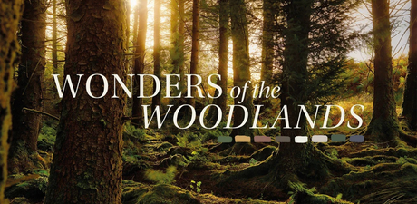 Introducing Wonders of the Woodlands