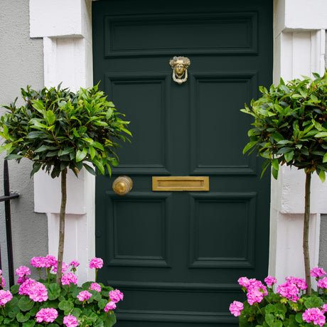Trending front door colours