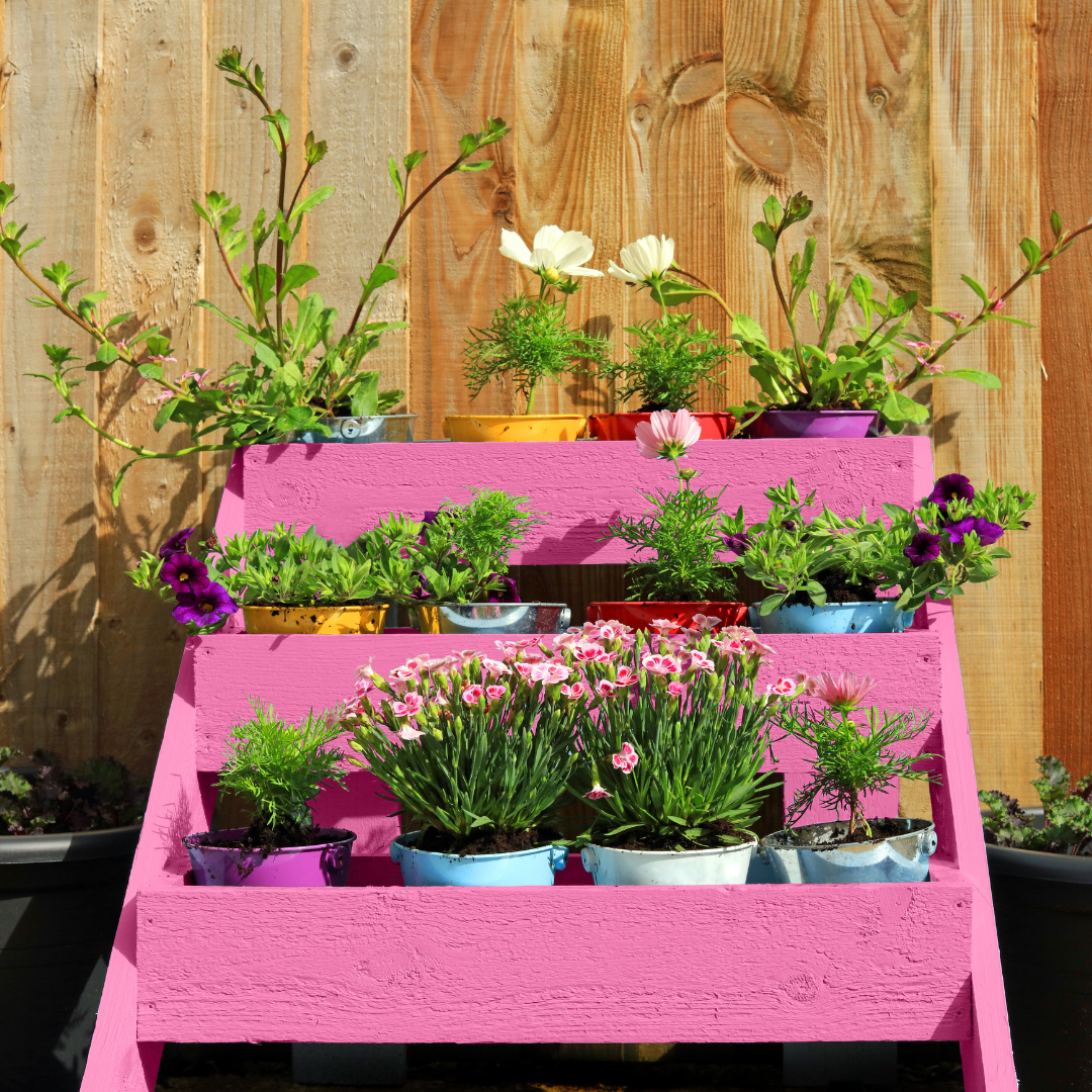 The Garden Glow-Up Bundle