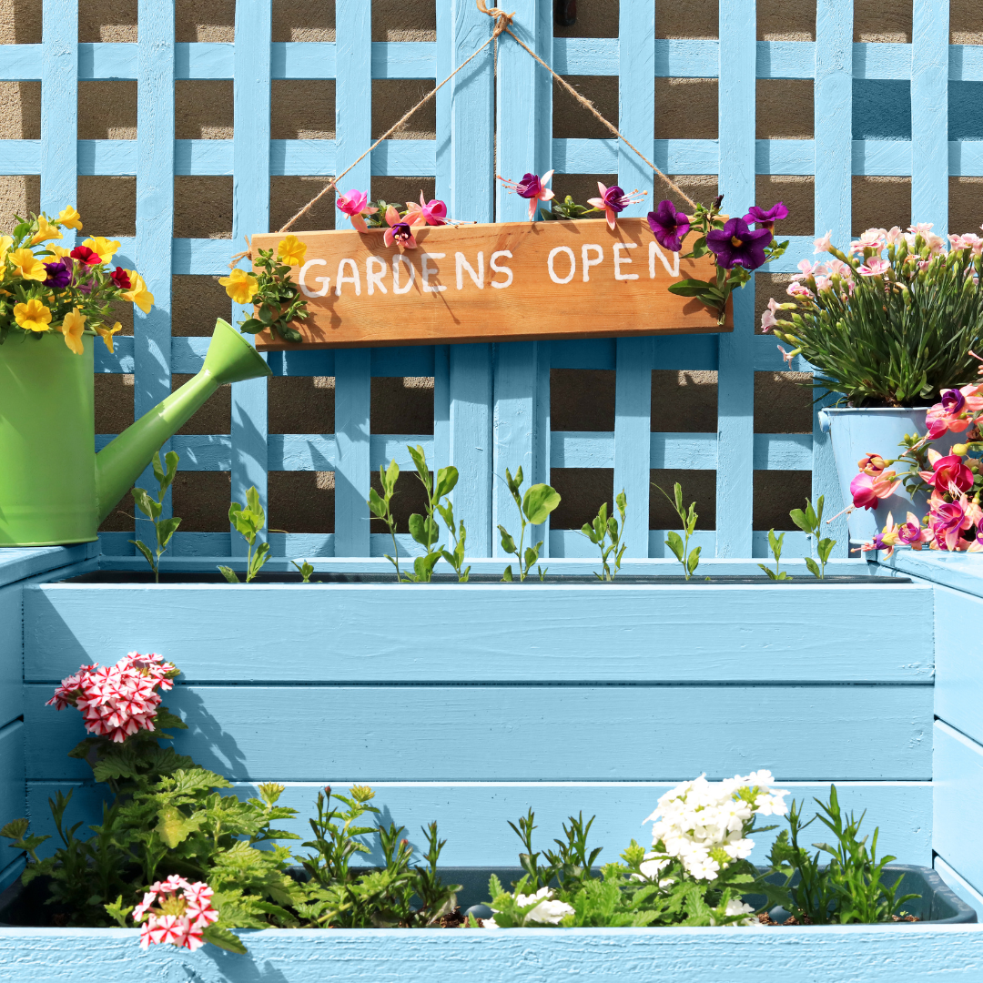 The Garden Glow-Up Bundle