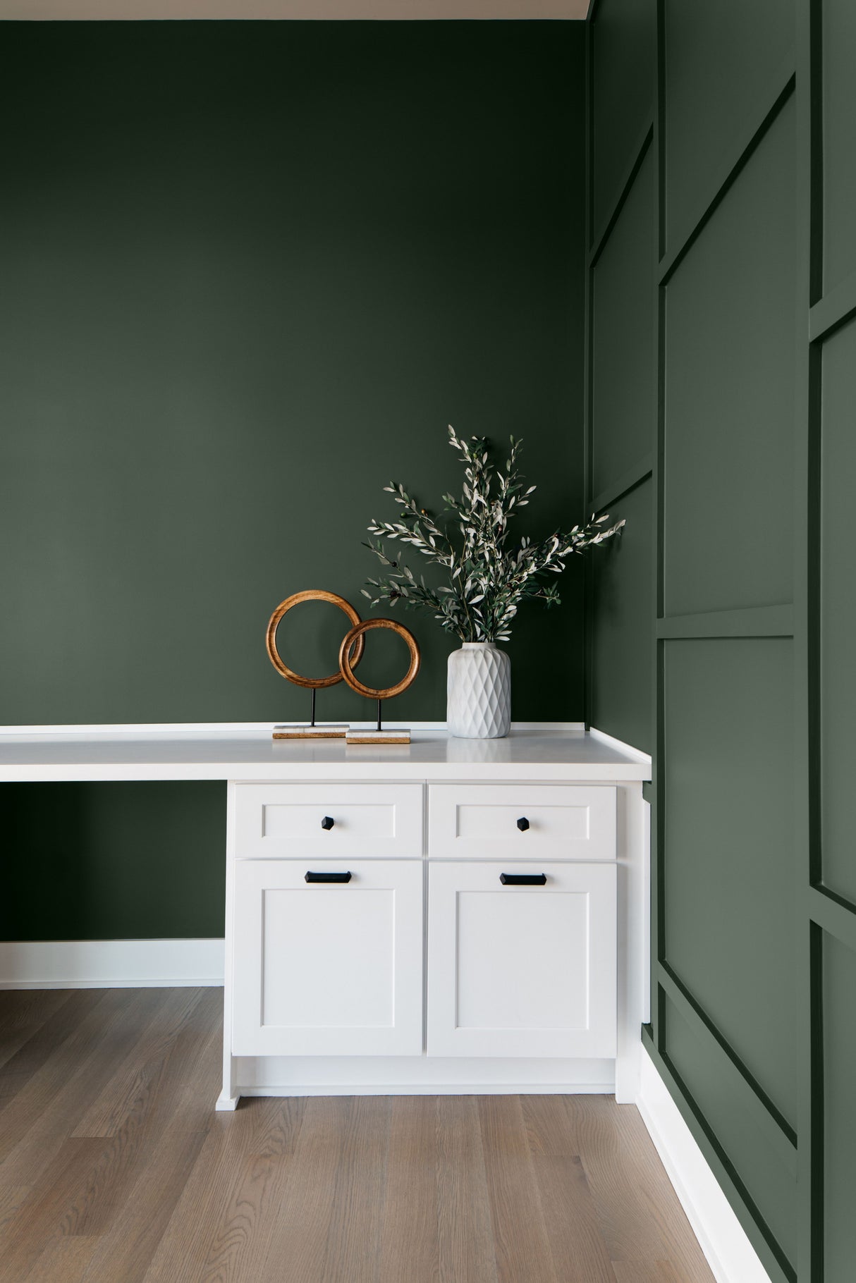 Forest Floor Colour Shown on Interior Wall