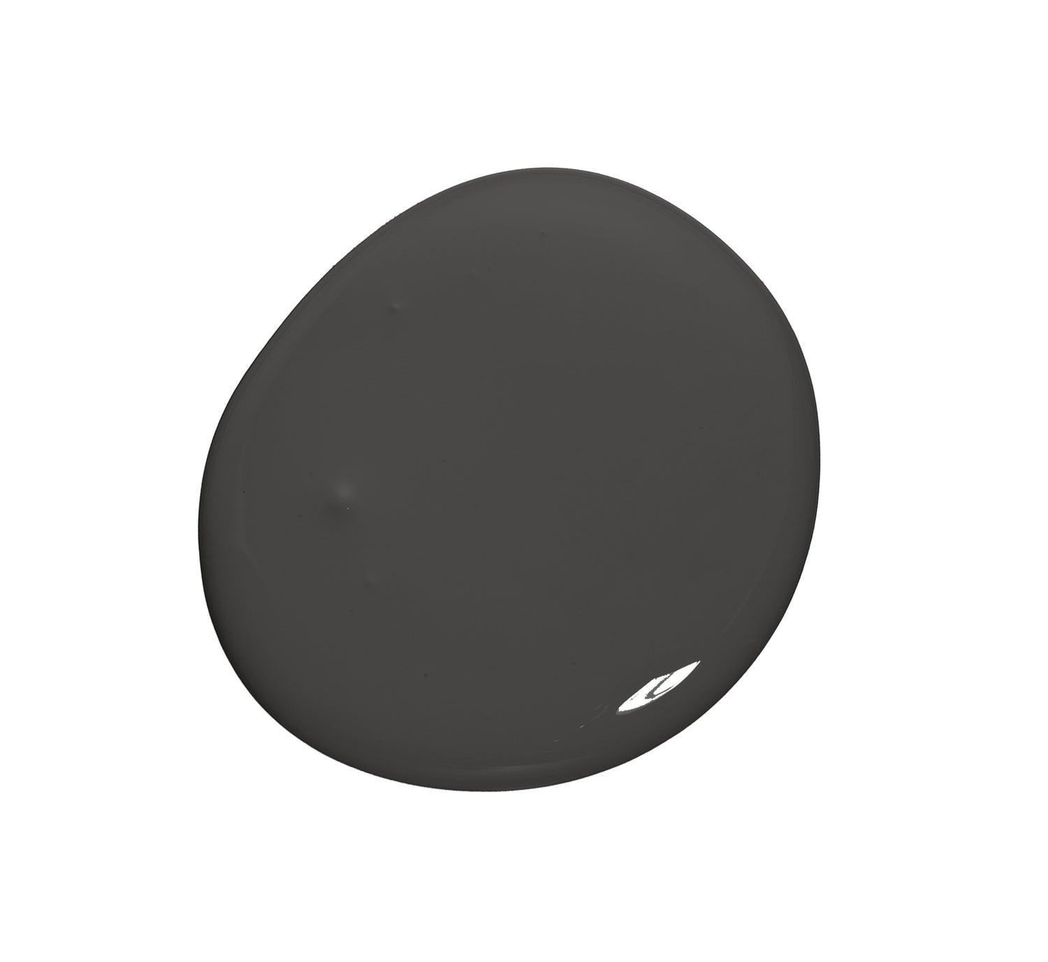 Black Licorice 0529