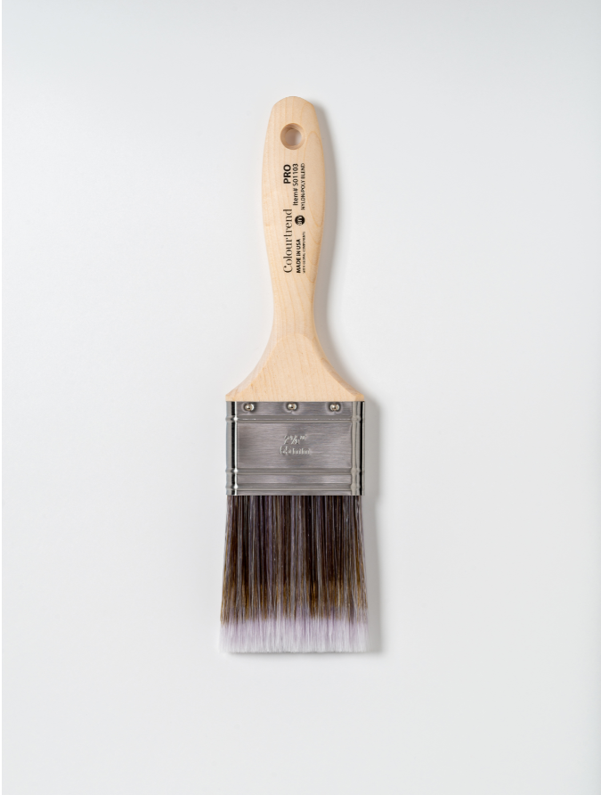 Colourtrend Pro 2.5" Experience Brush