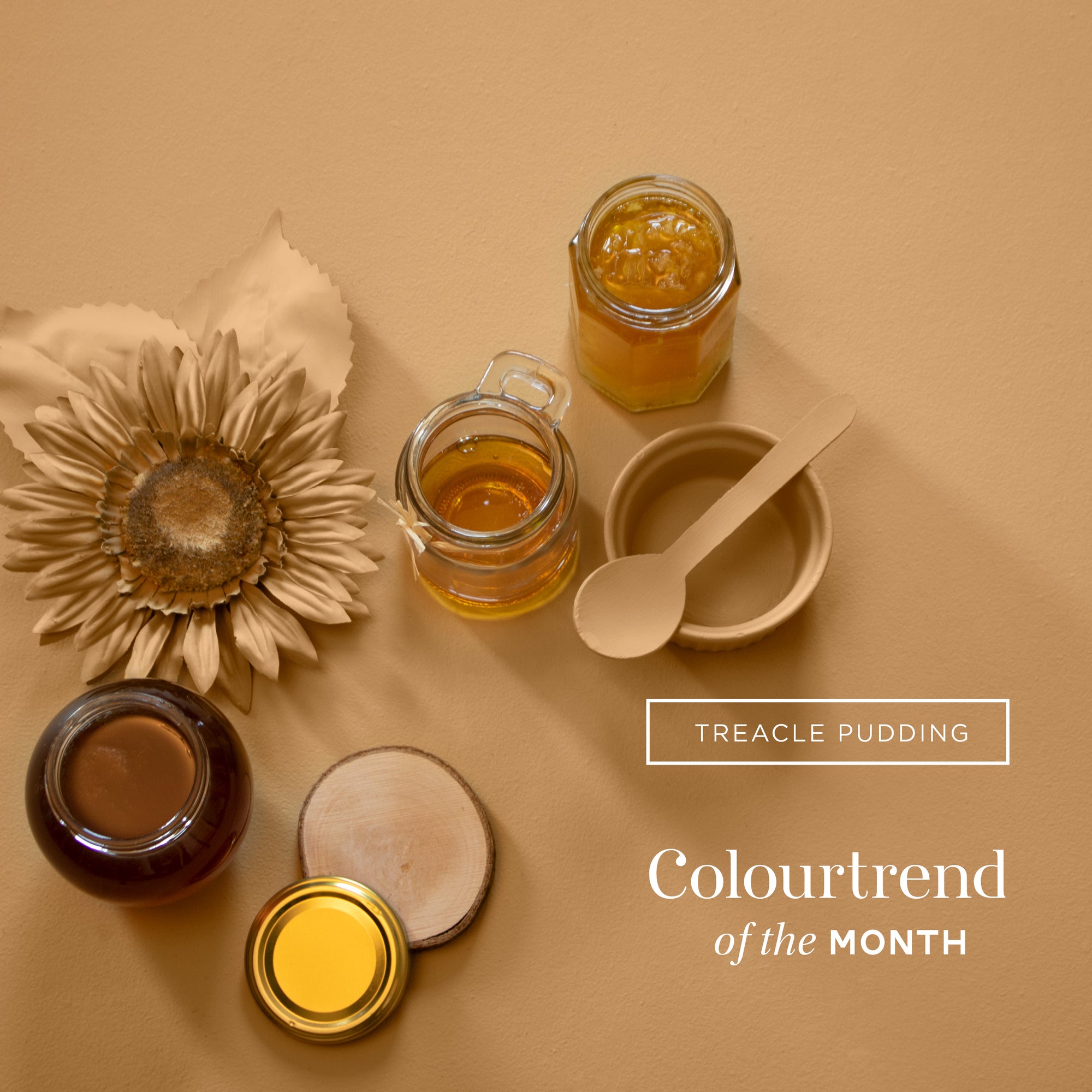 August Colourtrend of the Month- Treacle Pudding