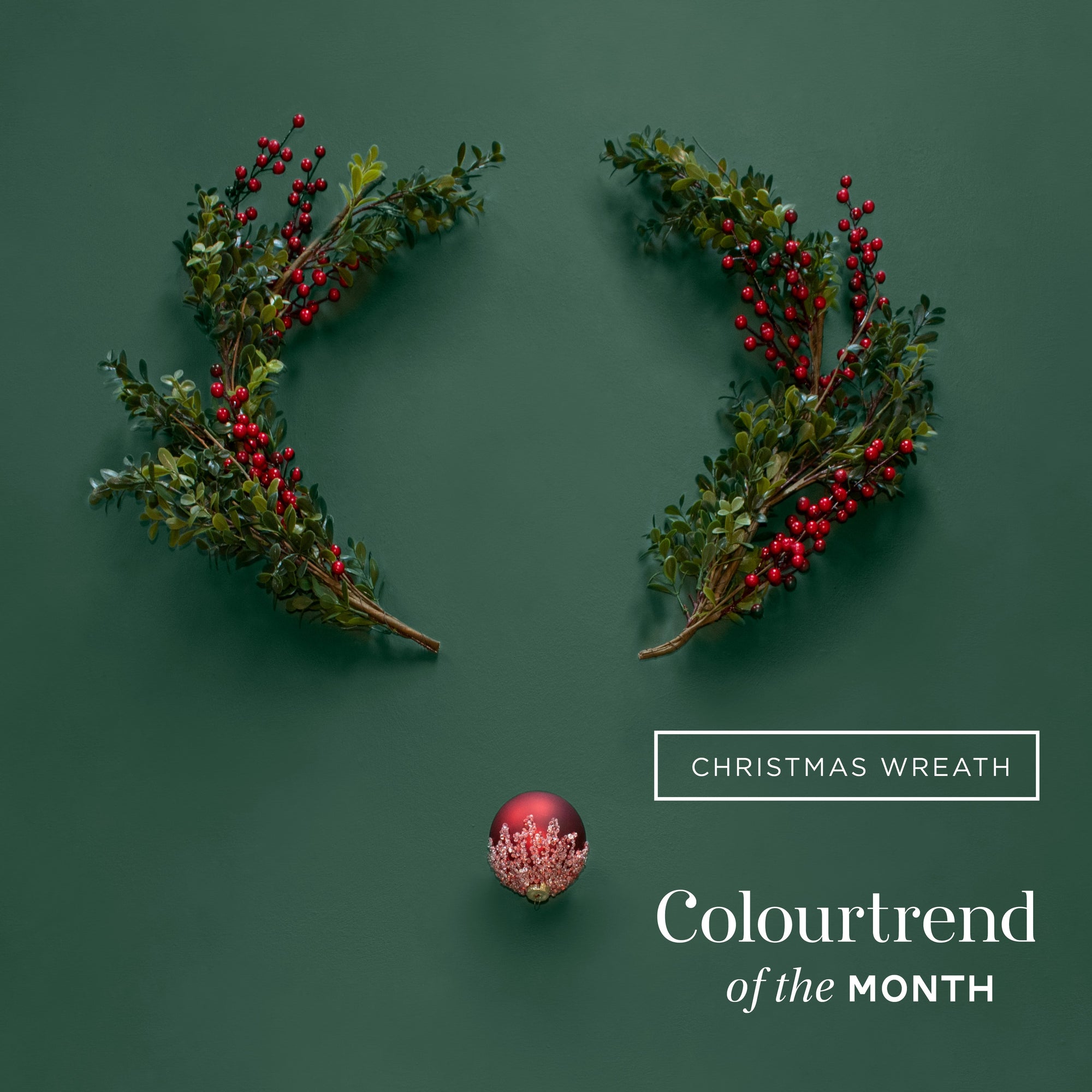 December Colourtrend of The Month