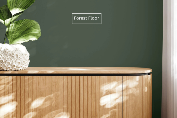 December Colour of the Month: Forest Floor