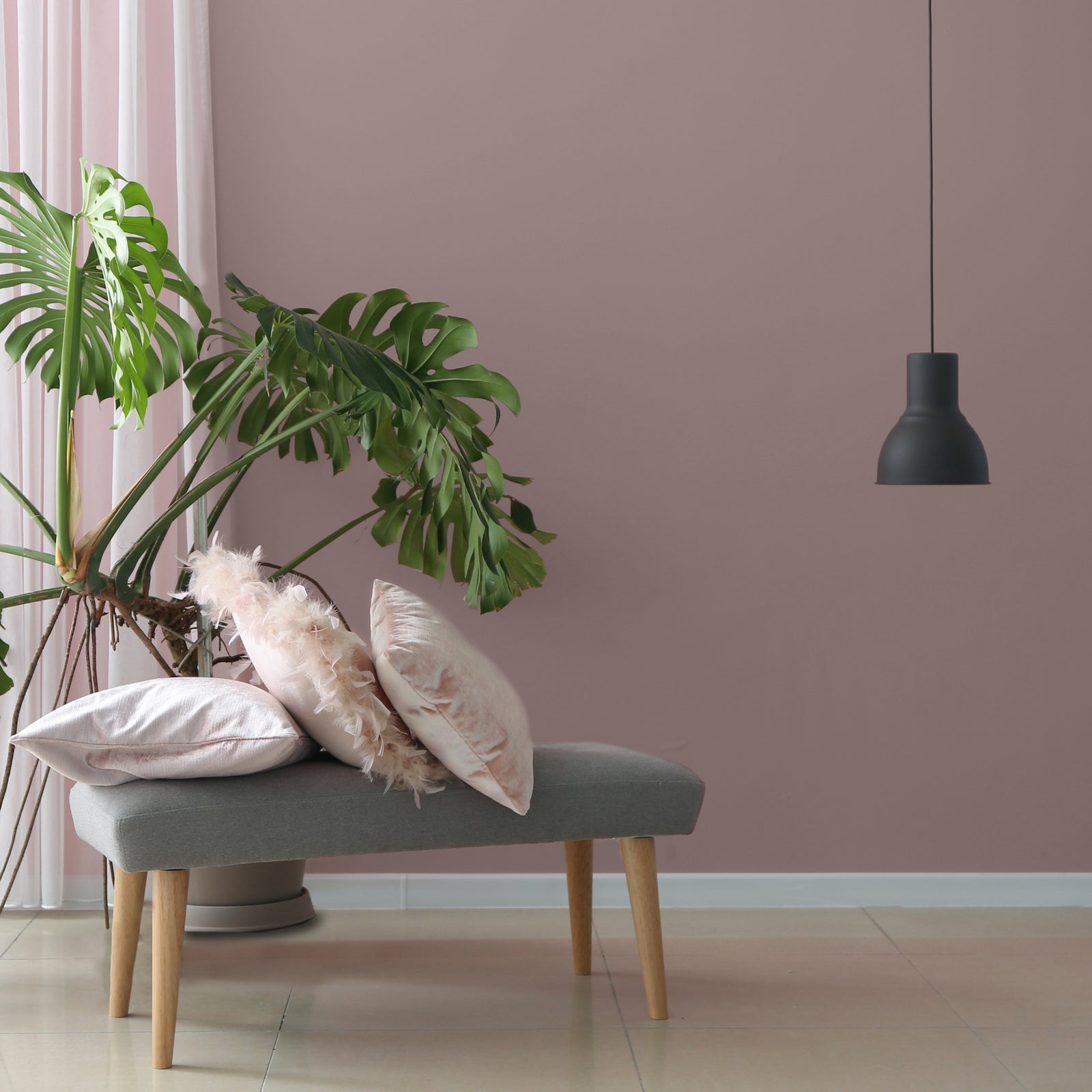 Nature into Your home with Sheenagh Green & Nik Dillon Colourtrend Paints