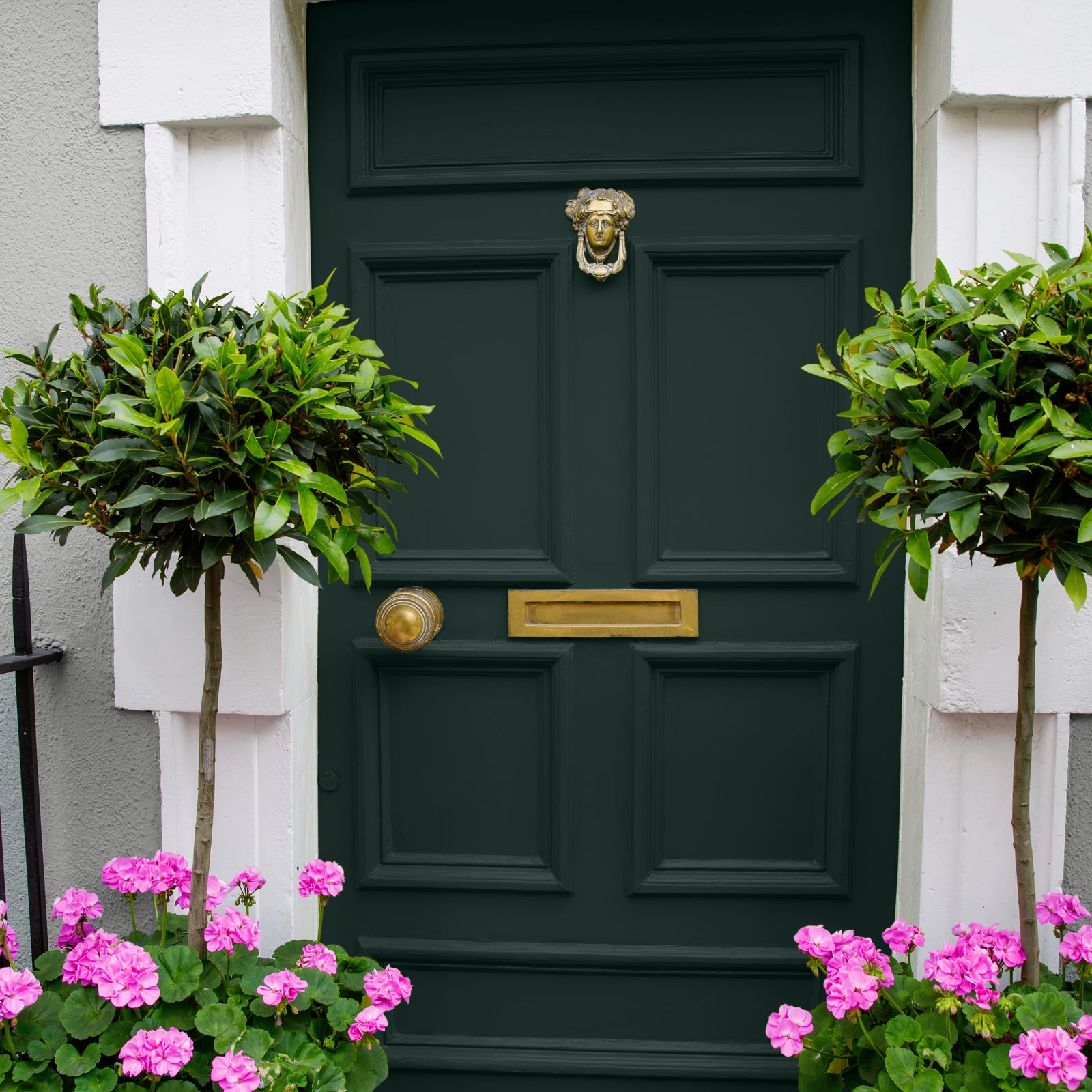 Trending front door colours