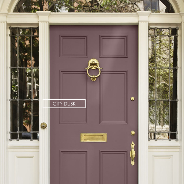 Repaint Your Door Kit