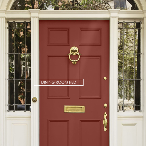 Repaint Your Door Kit