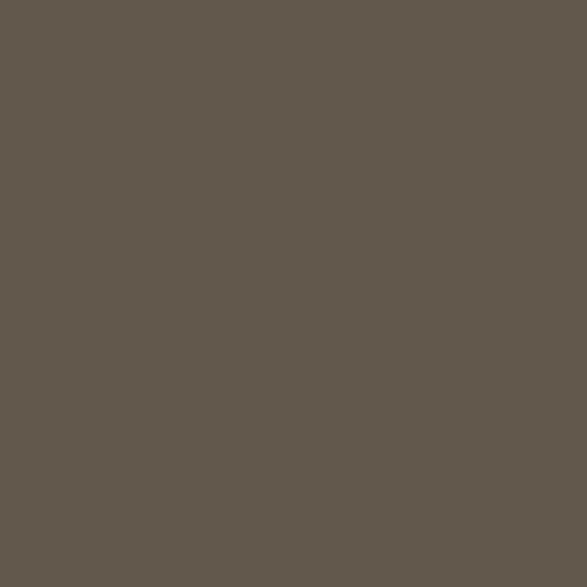 Brittle Bark Colour Swatch Square