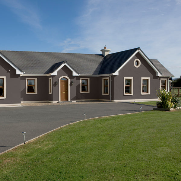 Pine Marten