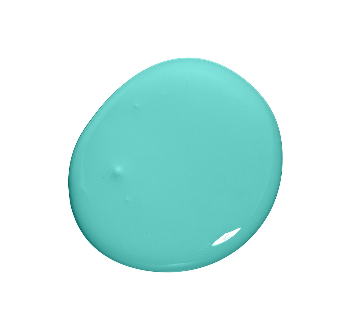 Turkish Teal 0694