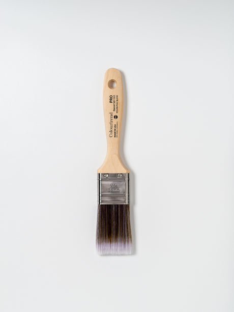 Colourtrend Pro 2.5" Experience Brush